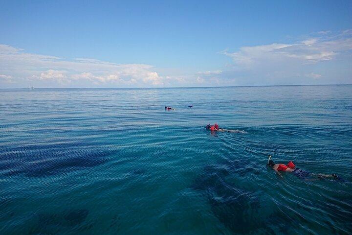 Excursão guiada compartilhada de um dia pelas rochas do México