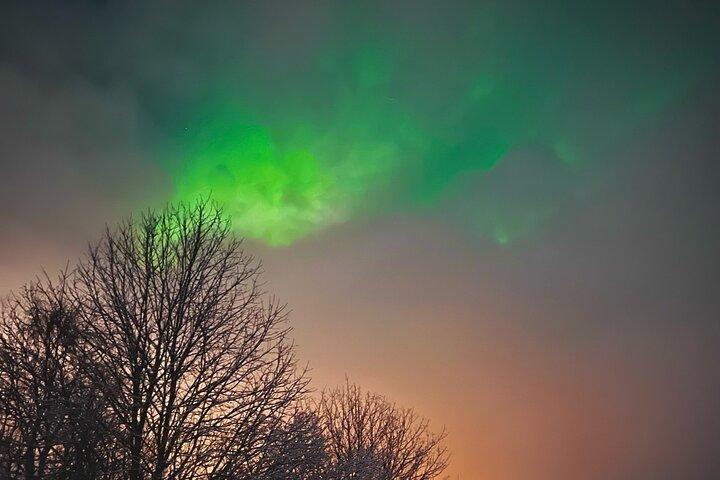 Aurora Jagt med BBQ i Rovaniemi