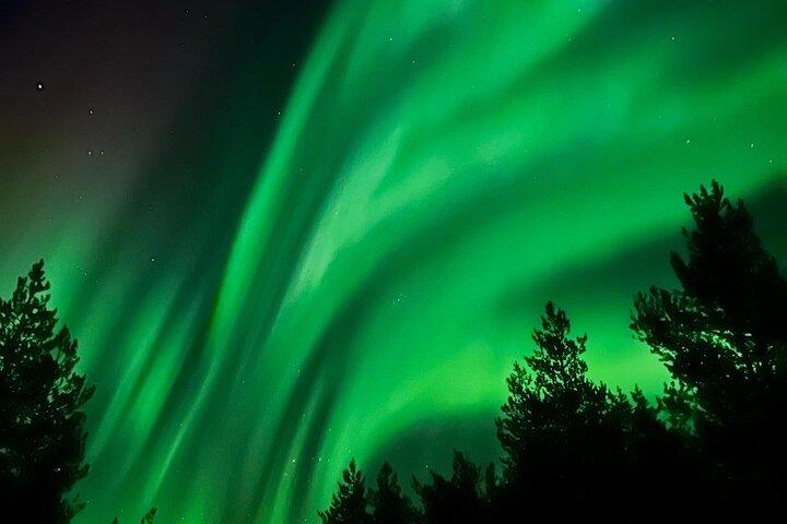 Aurora Jagt med BBQ i Rovaniemi