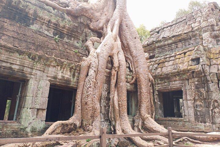 Joining Trip with Sunset-Angkor Wat, Angkor Thom & Ta Prohm