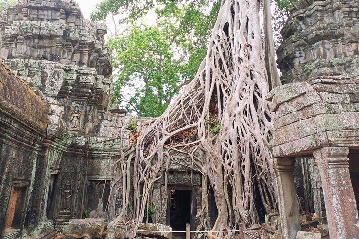 Joining Trip with Sunset-Angkor Wat, Angkor Thom & Ta Prohm