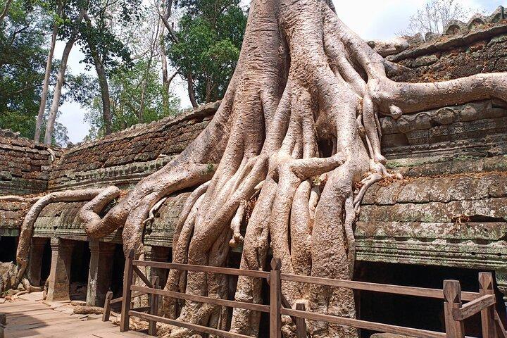 Viagem privada de três dias em Siem Reap