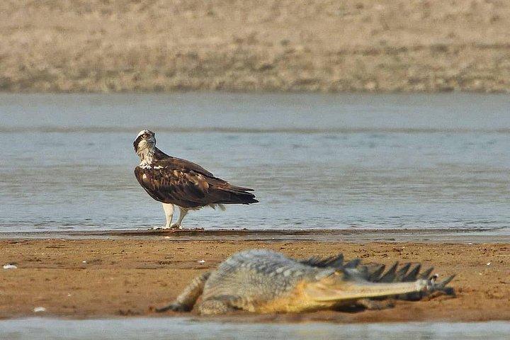 シャンバル リバー サファリ