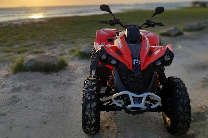 Explorez par vous-même 8 heures VTT monoplace