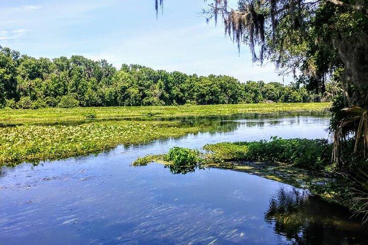 Wekiva Wildtier-Kajak-Abenteuertour