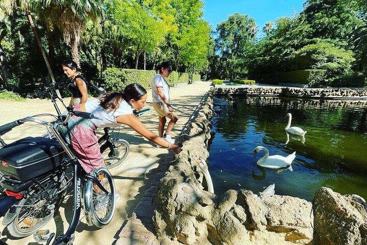 Elektrische fietstour door Sevilla (2 uur) | Ontdek Sevilla als een local | Kleine groep