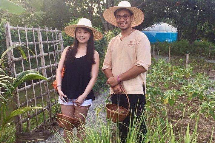 美しい庭園のある伝統的なパビリオンでの朝の料理教室 - チェンマイ