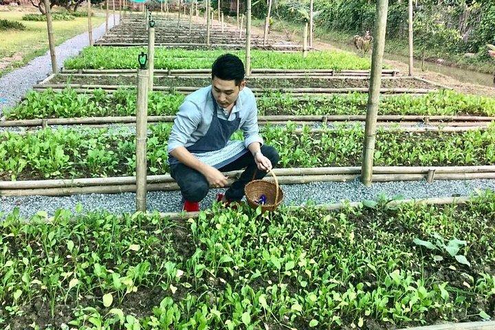 Chiang Mai Organic Farm Thai Cooking Class