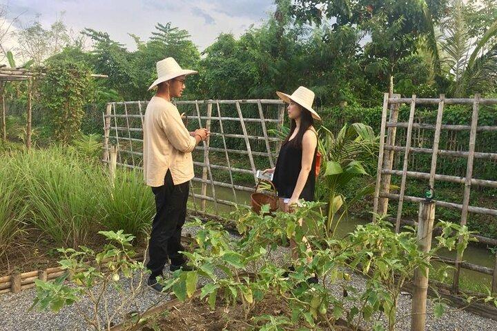 Chiang Mai Organic Farm Thai Cooking Class