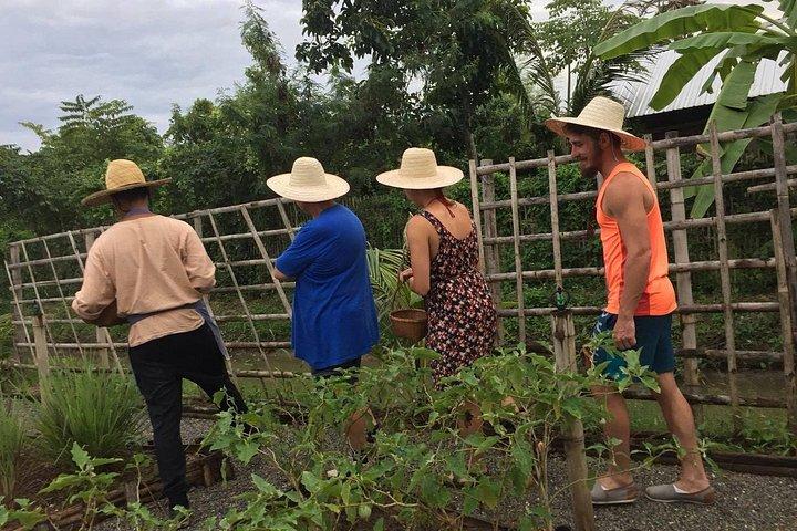 Chiang Mai Organic Farm Thai Cooking Class