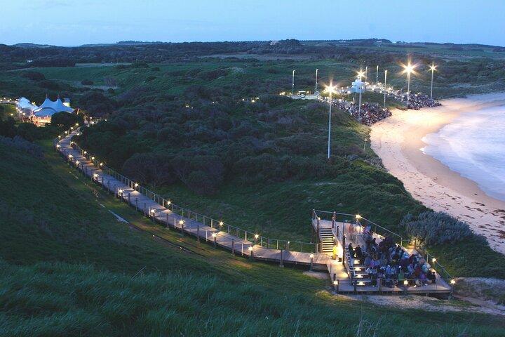 カンガルー、コアラ、ペンギン パレード付きフィリップ アイランド 1 日ツアー