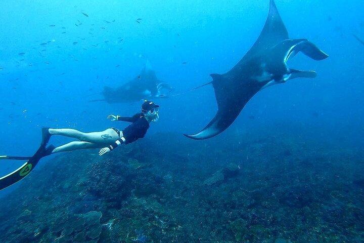 Snorkeling a Nusa Penida e Uluwatu Kecak Tramonto e cena
