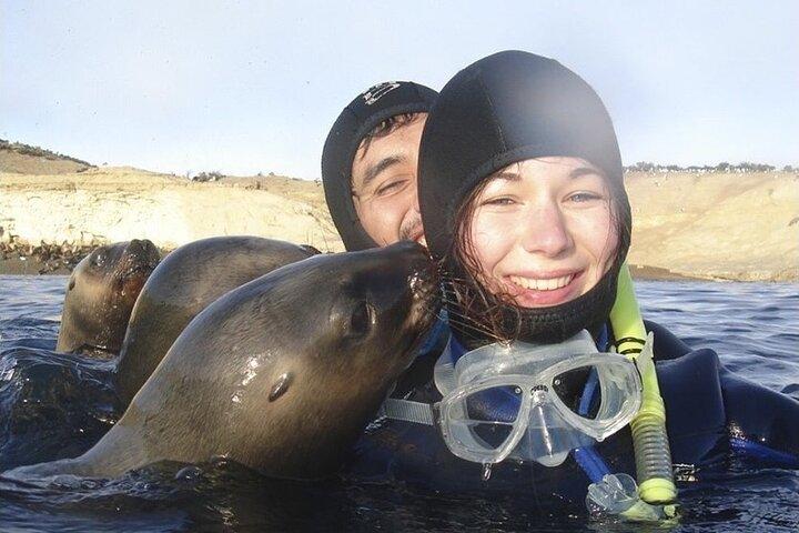 Snorkeling con leoni marini e avventure nella fauna selvatica
