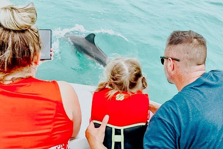 Tour de delfines y snorkel en Key West - Grupo pequeño
