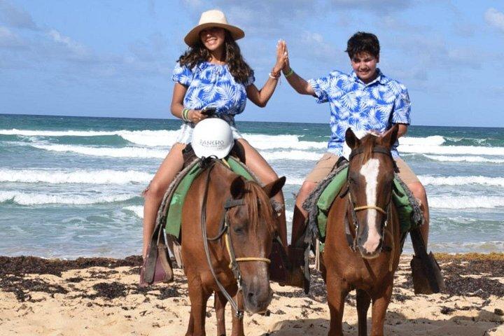 Cabalgatas Privadas en la Playa de Punta Cana