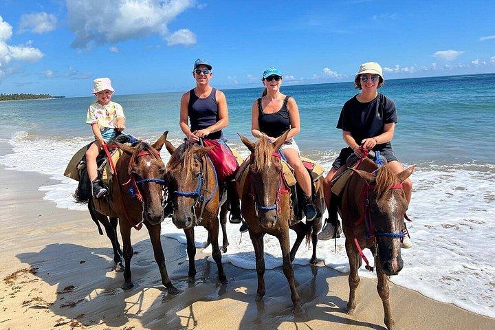 Cabalgatas Privadas en la Playa de Punta Cana