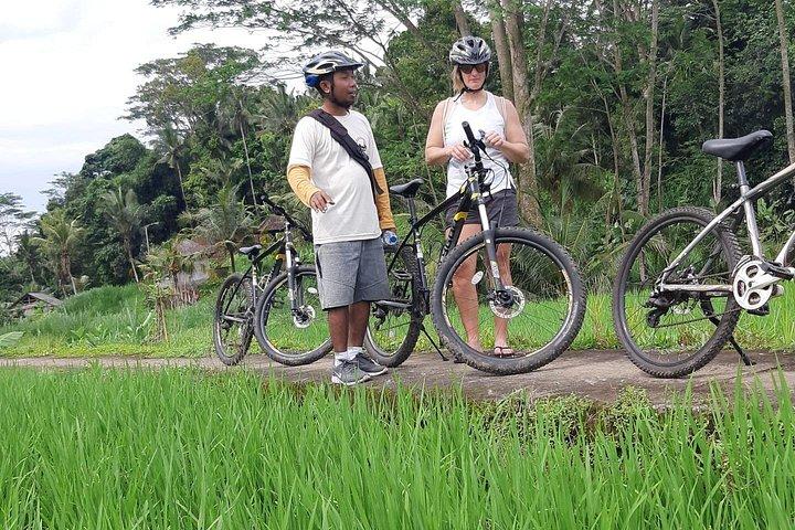 Bali cykel eventyr tur