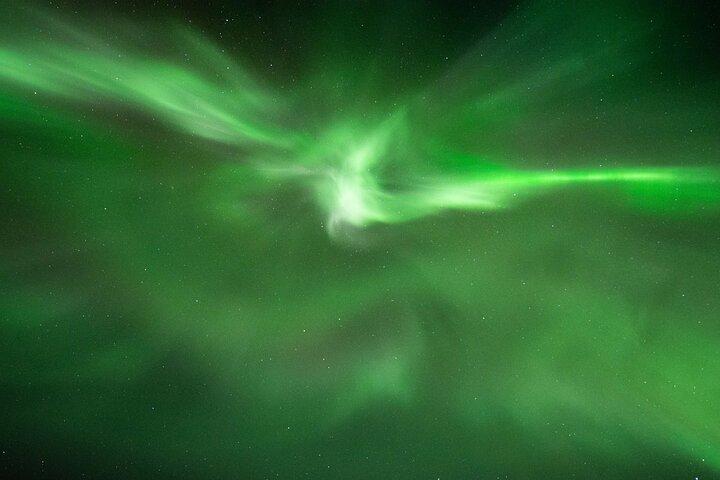 Privat Northern Lights Tour - Champagne & Chokolade Aurora Hunt