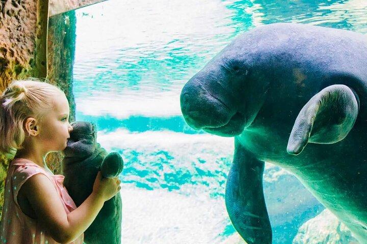 ZooTampa at Lowry Park Adgangsbillet