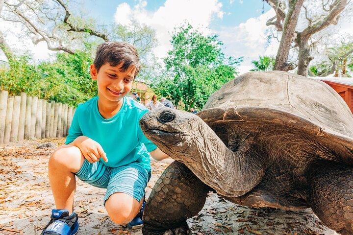 ローリーパーク入場券のZooTampa