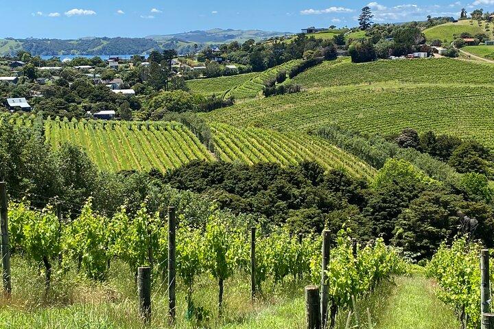 Schlürfen & Genießen durch Waiheke Island (max. 11 Gäste)