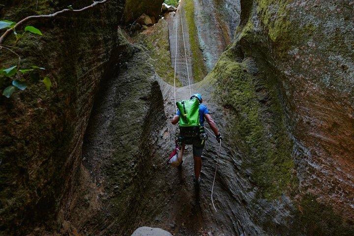 Small-Group Half-Day Canyoning in La Orotava