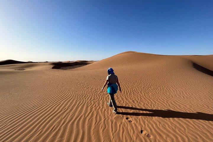 Privat kameltrekking ørkentur i Marokko 7 dage