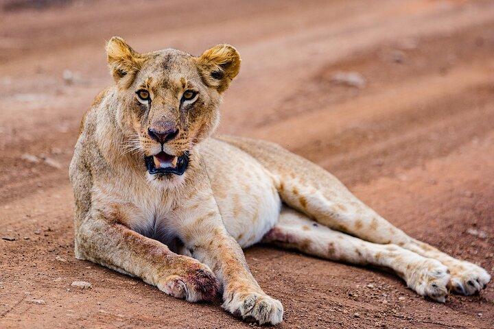 5 giorni di pura avventura: Maasai Mara, Lago Nakuru e Porta dell’Inferno