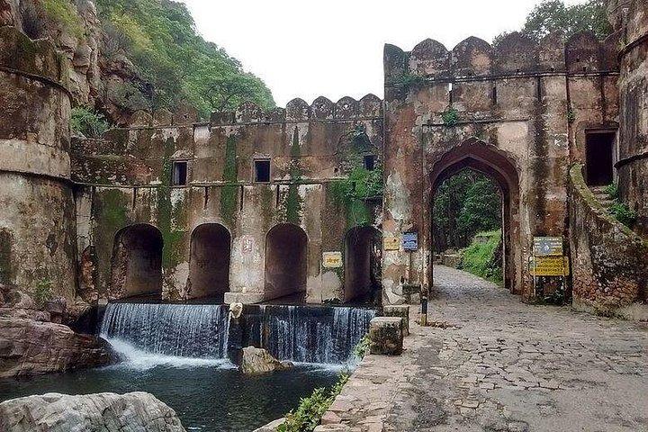 ジャイプール発ランタンボール国立公園への日帰り旅行