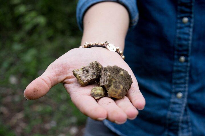 5 uur truffeljachtervaring met kookles
