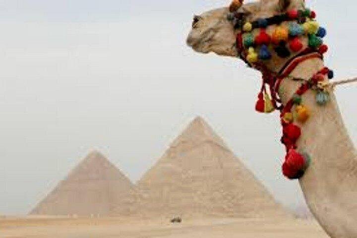 Half Day Tour To Giza Pyramids And Sphinx