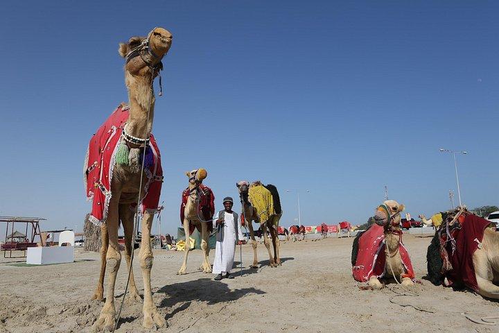 4 時間のデザート サファリ、ラクダ乗り、内海ビーチ