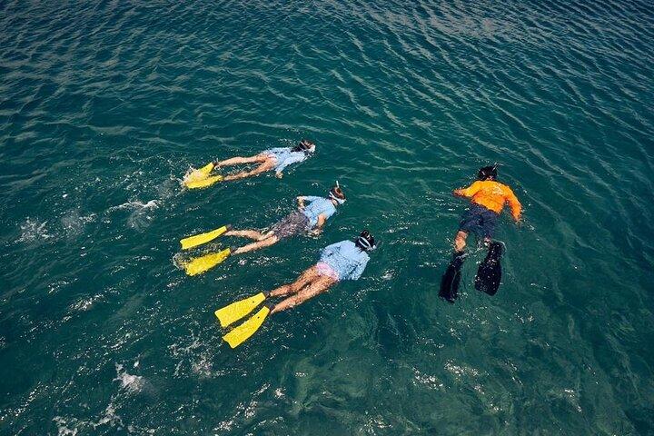 職人の海とカヤックの冒険 (4-in-1)