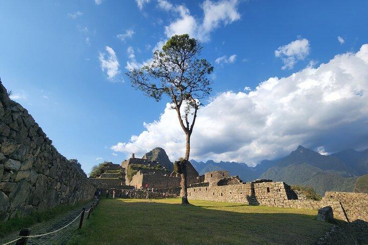 One Day Tour to Machu Picchu for Small Groups by Train