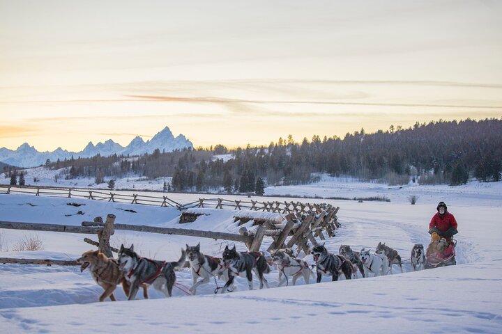 Jackson Hole Full-Day Dog Sledding and Snowmobiling Combo Trip