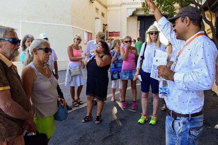 Highlights of Udaipur : A Private Guided tour