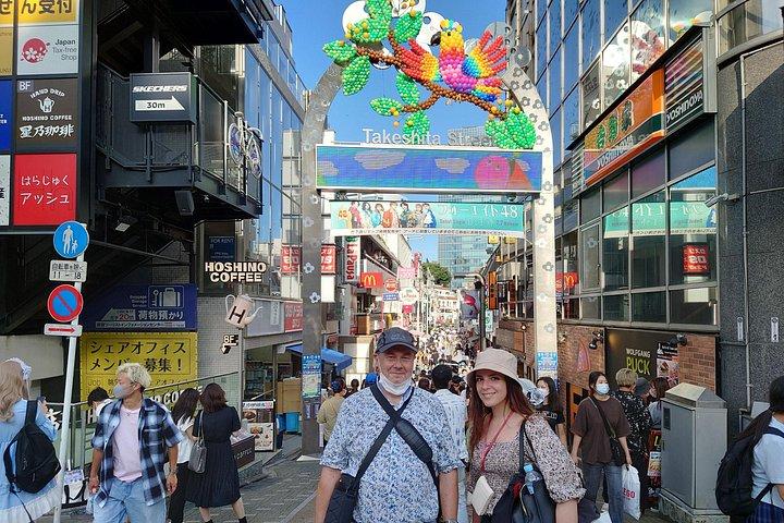 ライセンスガイド付き車での東京カスタマイズプライベートツアー