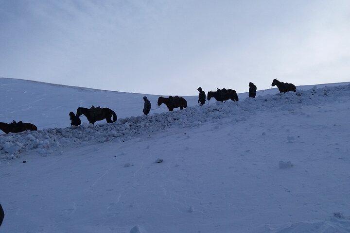 3 days horse back riding to Song-Kul lake whole year round