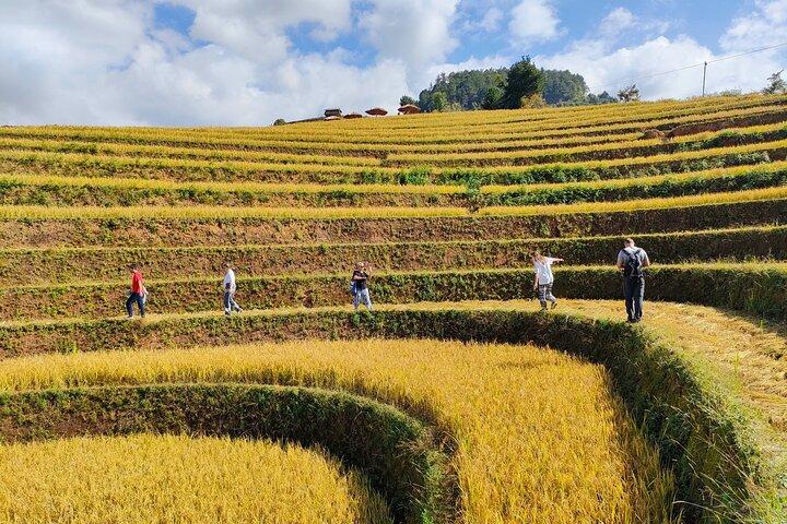 終日バイク Mu Cang Chai