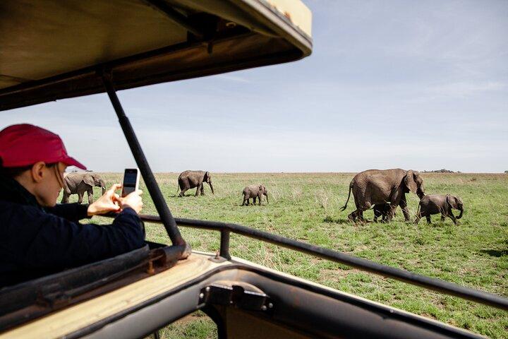 4 Days Tanzania Budget Safari