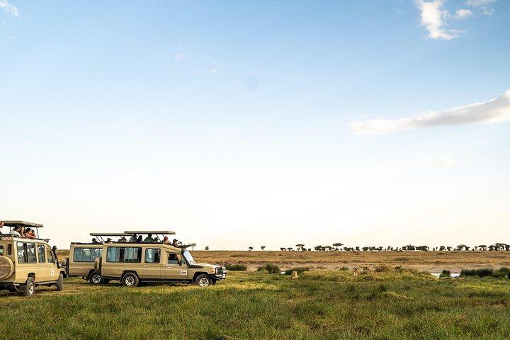 4 Days Tanzania Budget Safari