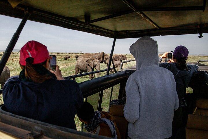 4 dage Tanzania Budget Safari