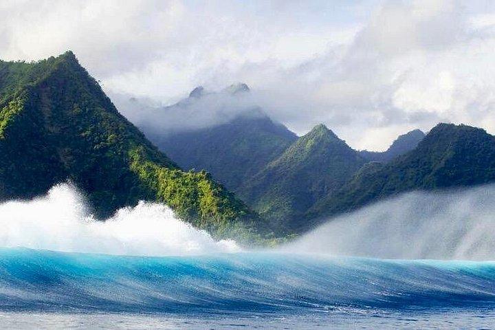 タヒチ島テアフポオ（2024年オリンピック開催地）へのタクシーボートを利用した終日プライベートツアー