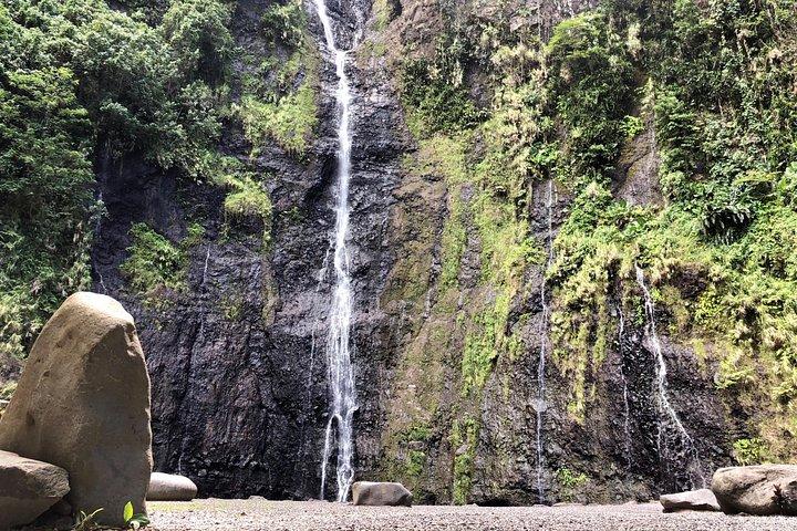 タヒチ・ヌイ：プライベートツアー（東海岸または西海岸、半日）