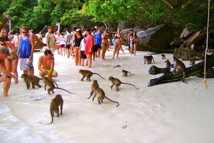 Barco privado VIP a la isla Phi Phi: Snorkel + Tour terrestre