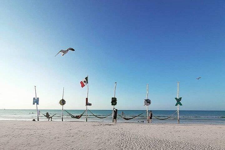 Holbox Punta Mosquito By Ferry only from Playa del Carmen
