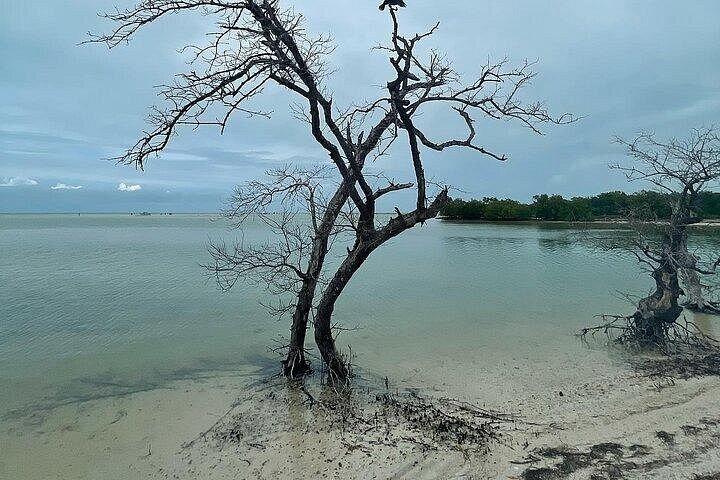 Holbox Punta Mosquito By Ferry only from Playa del Carmen