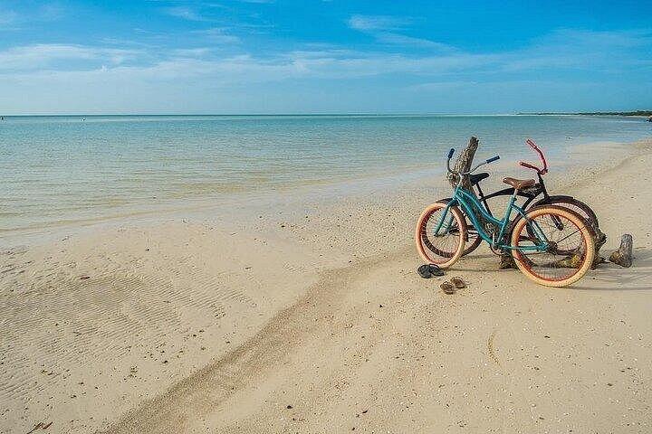 Holbox Punta Mosquito By Ferry only from Playa del Carmen