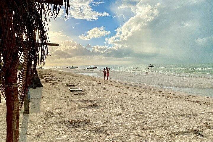 Holbox Punta Mosquito By Ferry only from Playa del Carmen