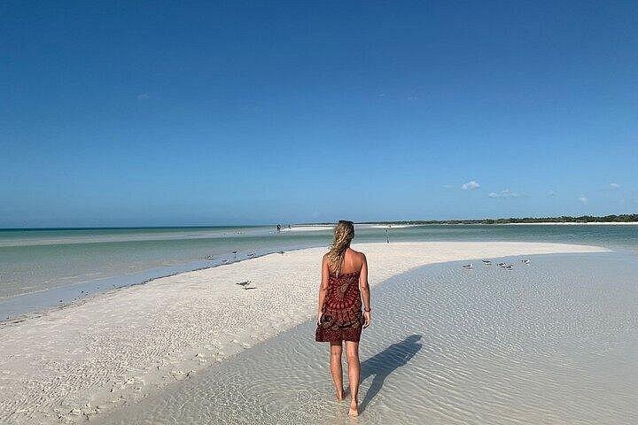 Holbox Punta Mosquito By Ferry only from Playa del Carmen
